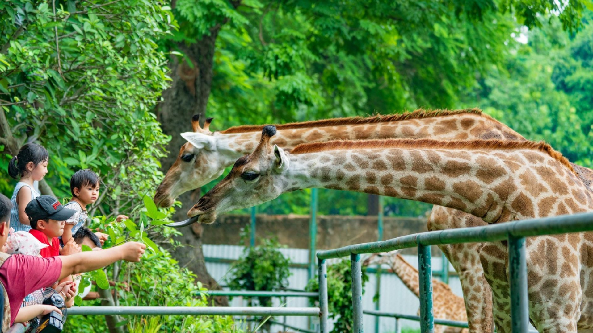 Vé Thảo Cầm Viên tại Thành Phố Hồ Chí Minh