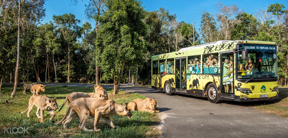 Vé Vinpearl Safari Phú Quốc