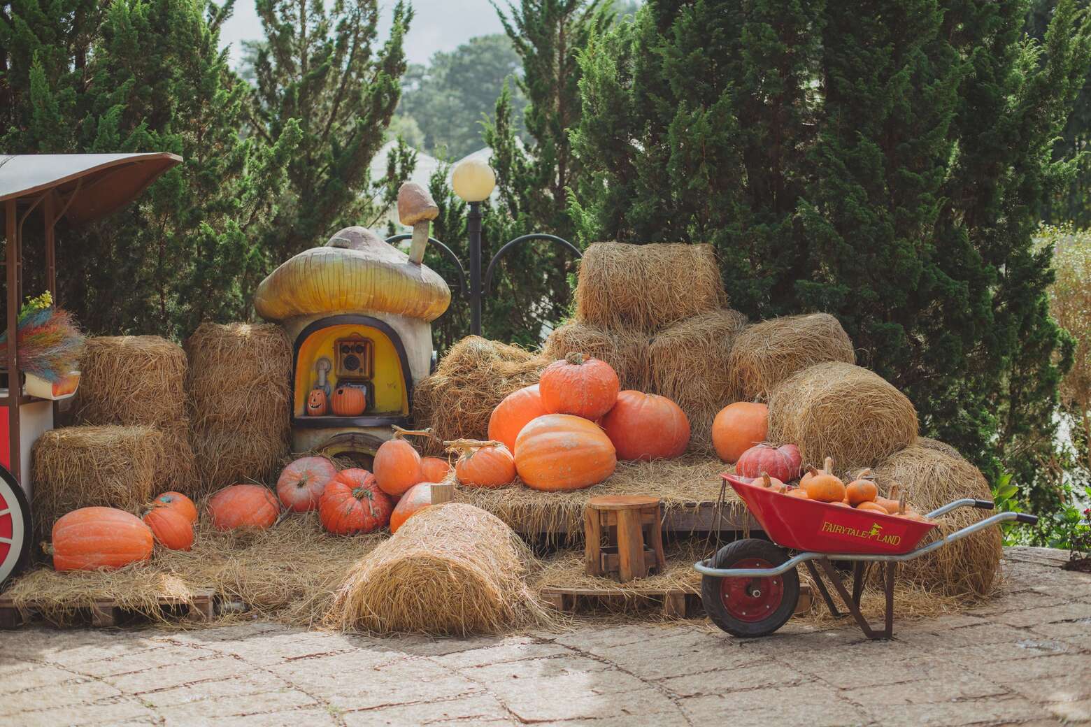 Vé Dalat Fairytale Land Và Hầm Rượu Vang Vĩnh Tiến